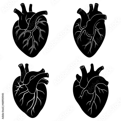 Four anatomical hearts in black and white with arteries and veins in a repeating pattern design style