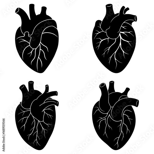 Four anatomical heart illustrations in black and white showing veins and arteries on a white background