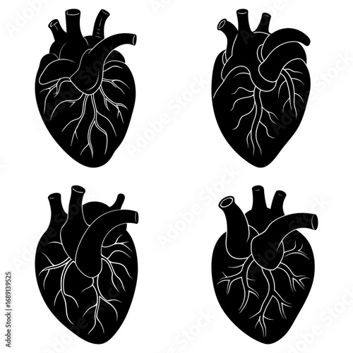 Four black anatomical heart illustrations with detailed veins and arteries on a white background display