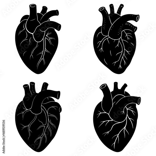Four anatomical heart illustrations in black and white showing arteries and veins in a repeating pattern