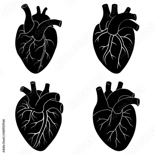 Four anatomical heart illustrations in black and white showing intricate vein and artery details clearly visible