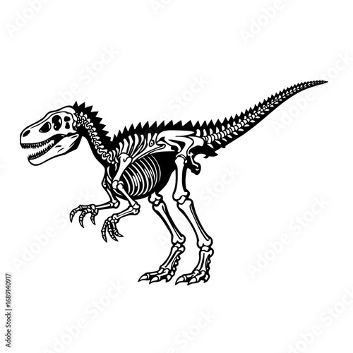 tyrannosaurus dinosaur vector illustration