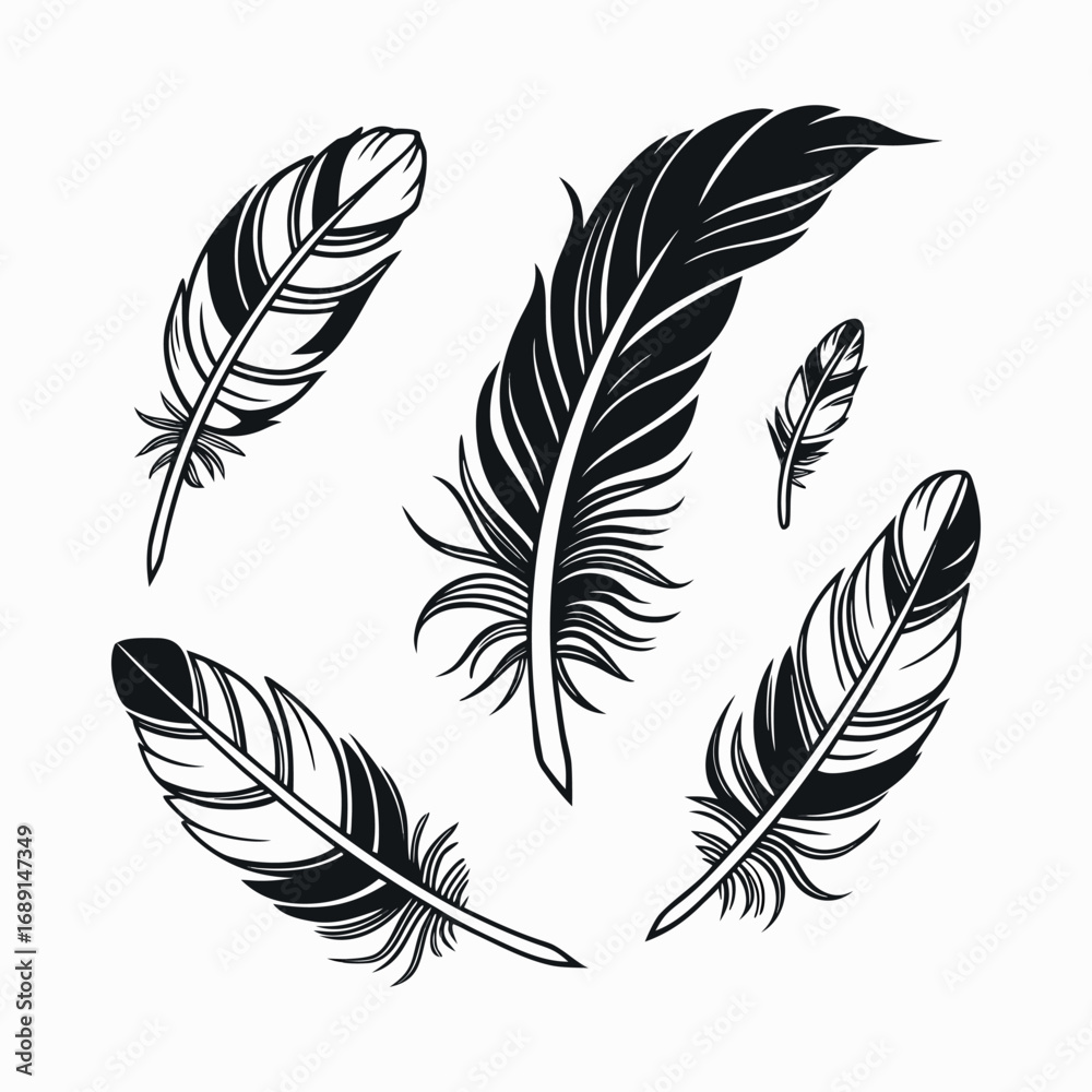 Obraz premium Artistic Feather Vector Set