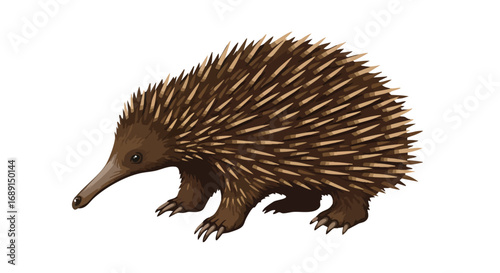 Illustration of an Echidna on a White Background Wildlife Nature and Australian Animal