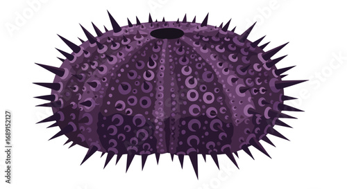 A detailed, vibrant purple sea urchin illustration with sharp spines, viewed from above on a clean white background.