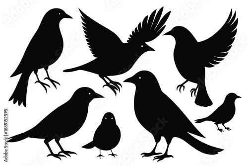 A collection of black silhouette bird shapes against a pure white background.