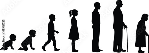 Human Life Cycle Silhouette, Growth from Baby to Elderly, Aging Process, Childhood to Adulthood, Evolution of Life, Stages Concept