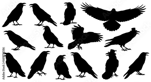 Dynamic raven silhouettes with open beaks and spread wings create a dramatic effect for Halloween