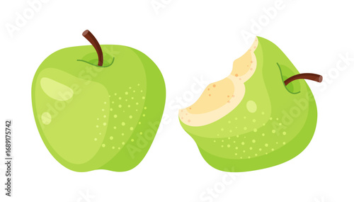 Fresh green whole and bitten apple, fresh garden fruit. Hand drawn food clipart, flat style, isolated on transparent background. ideal for food blogs, recipe books, diet guides. Vector illustration