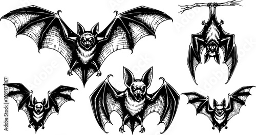 Set of Gothic Style Bat Sketches, Scary Animal Drawings and Hand-Drawn Halloween Vector Illustrations