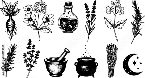 Set of Witchcraft Hand-Drawn Vector Illustrations with Bohemian Seamless Ribbon, Halloween Background, Witch Herbs, Poisonous Plants and Magic Ingredients Sketches