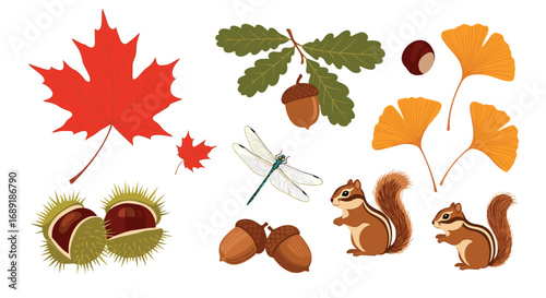 Vibrant autumn nature elements featuring squirrels, leaves, acorns, and a dragonfly