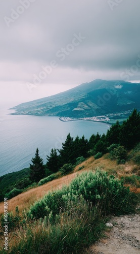 Overlooking a serene coastline, verdant hillside and evergreen trees lead down to a hazy blue ocean under a grey sky, a mountain range rising beyond