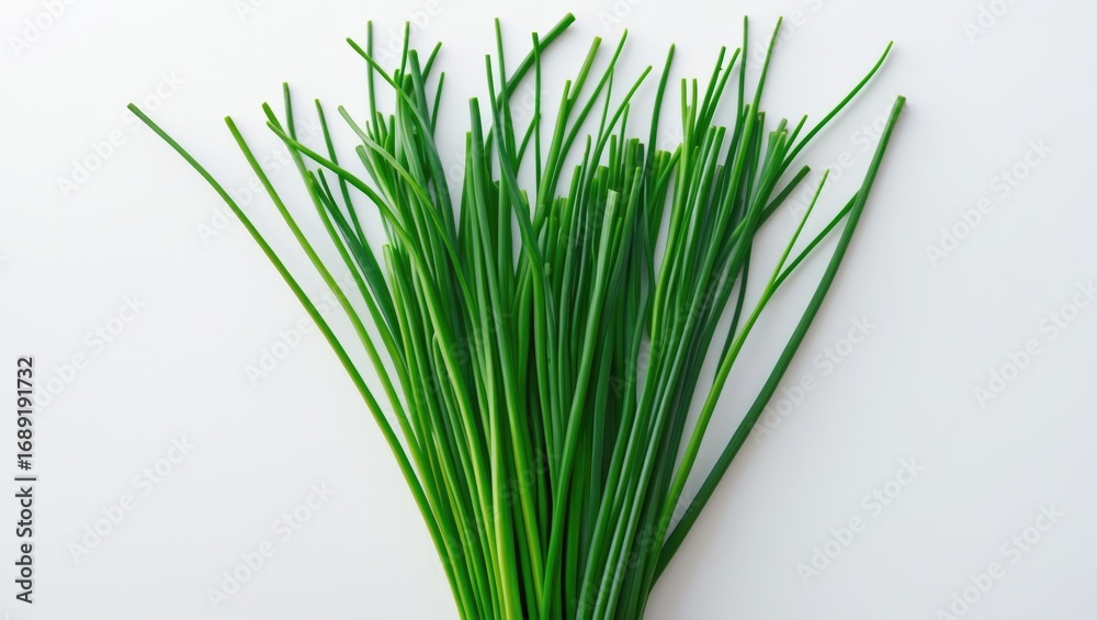Fototapeta premium Fresh green grass blades on a white background
