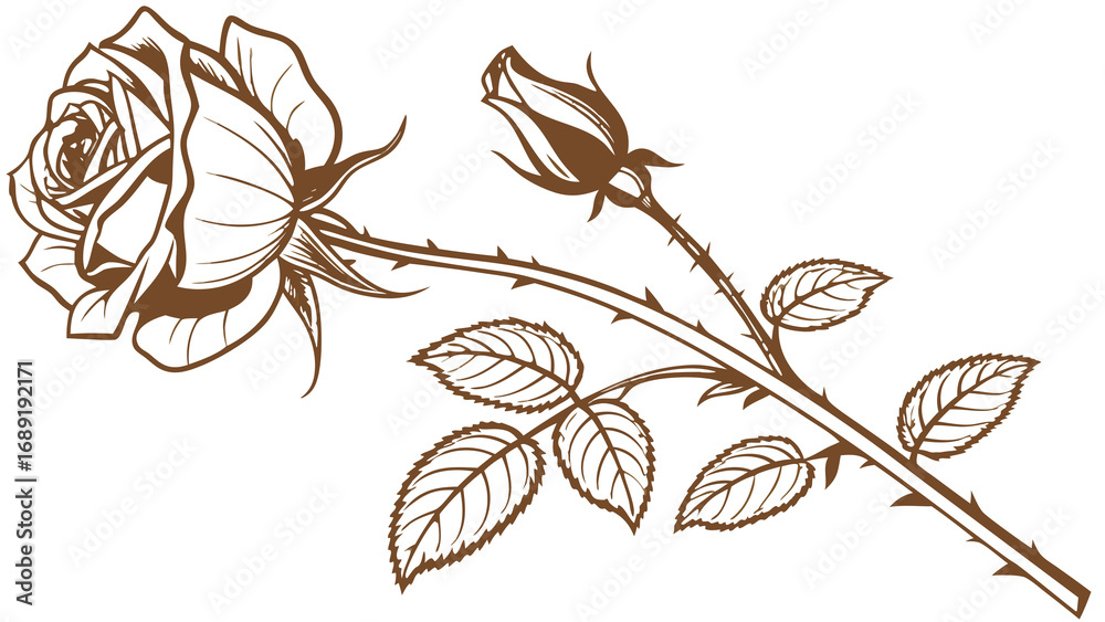 branch with leaves branch with leaves