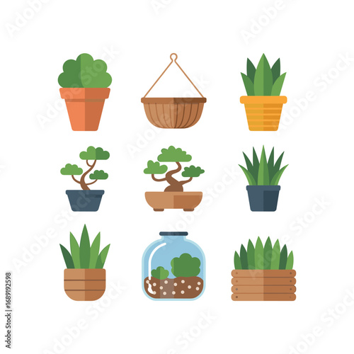 Collection of various potted houseplants and a terrarium creating a vibrant indoor garden aesthetic
