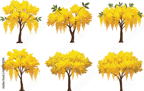 Set of six yellow flowering trees with hanging blossoms, spring foliage, botanical illustration, seasonal nature vector for design