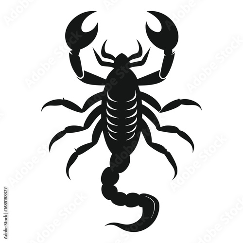 Silhouette of a Black Scorpion on a White Background