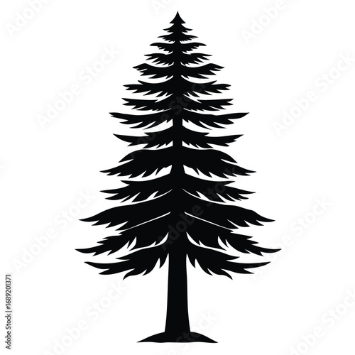Black silhouette of a tall fir tree on a white background vector illustration