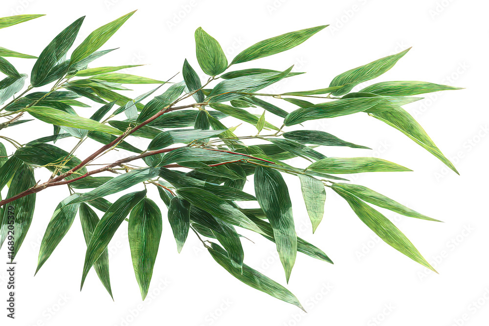 Fototapeta premium Lush Green Bamboo Branch with Dew Drops on Leaves