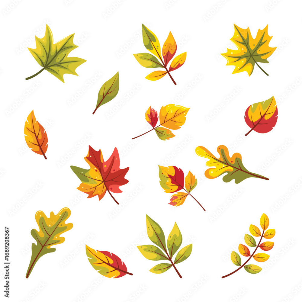 Obraz premium Autumn leaves set isolated background, vector realistic, autumn illustration, hello autumn vector 