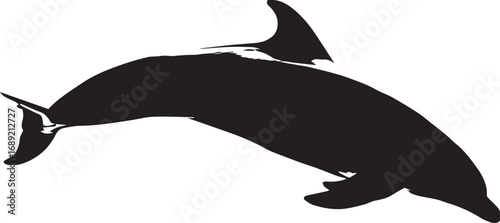 Silhouette of a dolphin and sailfish in motion with distinct fins and streamlined bodies

