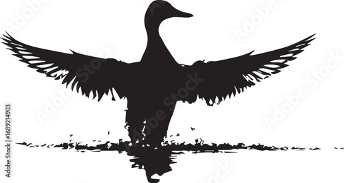 Silhouette of a duck taking off with wings spread and water reflection

