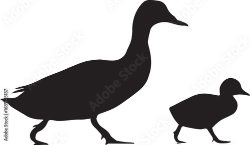 Silhouettes of two walking ducks, adult and duckling, in motion

