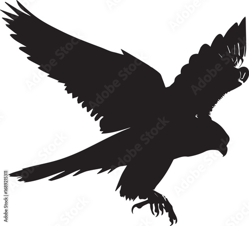 Silhouette of a raptor in flight with extended talons and spread wings
