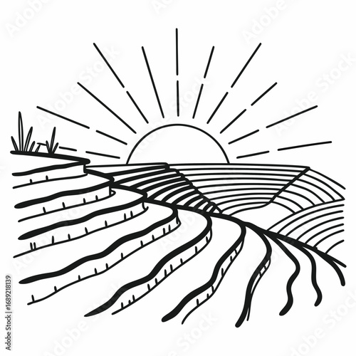 Stylized black and white line drawing of sun rising over agricultural terraced fields landscape