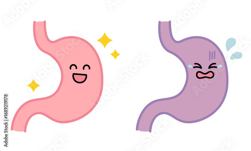 stomach_01