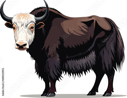 Cute cartoon a illustrator vector yak