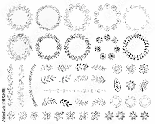 Collection of hand drawn botanical elements and wreaths