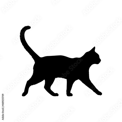 Black cat walking silhouette isolated on white background