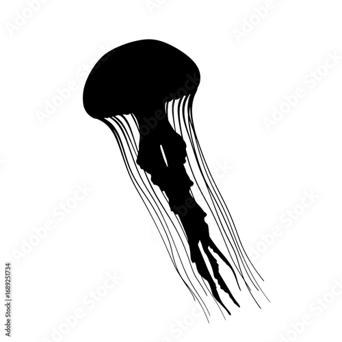 Black jellyfish silhouette isolated on white background