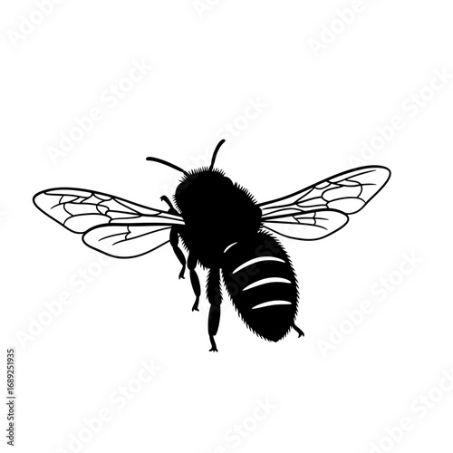 Black bee silhouette flying isolated on white background