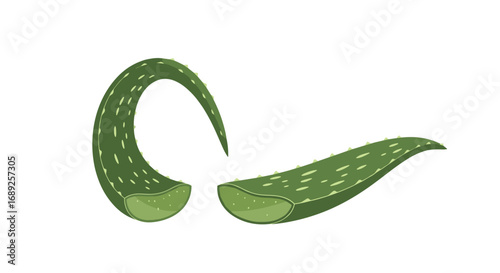 Close up of two healthy green aloe vera leaf slices showing their gel and texture