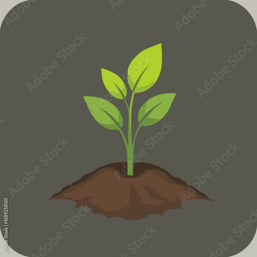 Young plant growing from the soil.