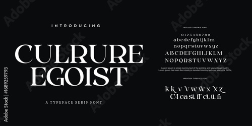 Luxury sans serif alphabet letters font and number. Classic Lettering Minimal Fashion Designs. Typography decorative wedding fonts and logo. vector illustration