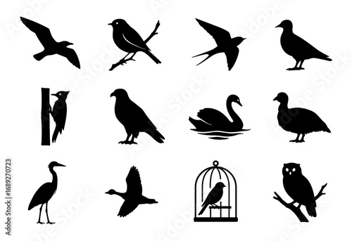 Bird silhouette collection featuring various bird species on a white background