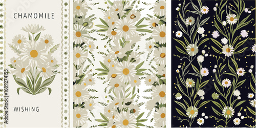 Delicate chamomile flower illustrations and patterns with botanical elements
