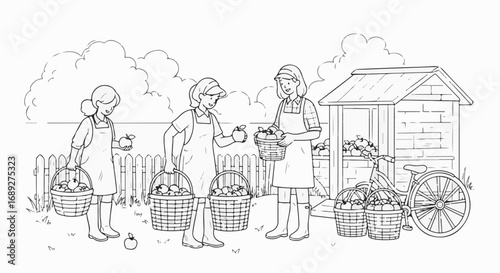Autumn harvest illustration showing women carrying apple baskets in rural scene, simple artwork. Autumn harvest depicts orchard workers with fresh apple crop and traditional wicker containers.