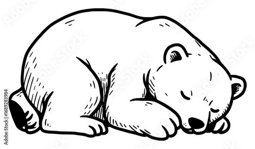 Peaceful Adorable Sleeping Polar Bear Arctic Animal Black and White Outline Line Art Drawing Vector Illustration Isolated