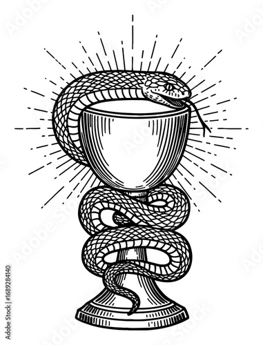 Snake Coiling Around Plain Medieval Grail with Sun Ray Effect Black and White Outline Line Art Drawing