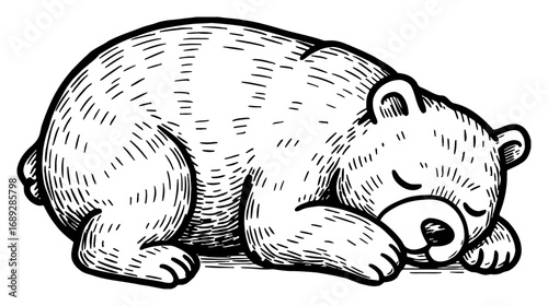 Cute Sleeping Bear Cartoon Style Black and White Outline Line Art Drawing Animal Mascot Design Isolated