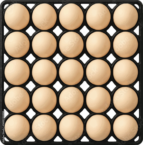 Fresh brown eggs arranged neatly in carton crate