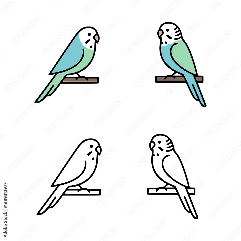Fototapeta premium Cute Budgie Bird Illustrations: Line Art Graphics