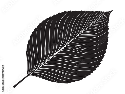 Crisp detailed leaf outline illustration in artistic silhouette vector