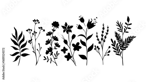 Leaves, flowers and branches silhouettes set. Wild plants and garden flowers silhouettes on white background. Vector illustration .vector icon
