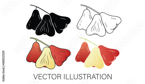 A Collection of Java Apples - Half-Cut and Whole Pieces, Isolated Vector Illustrations
